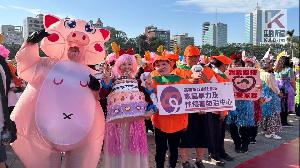 全民一起做志工　高市熱鬧舉辦113年國際志工日慶祝活動