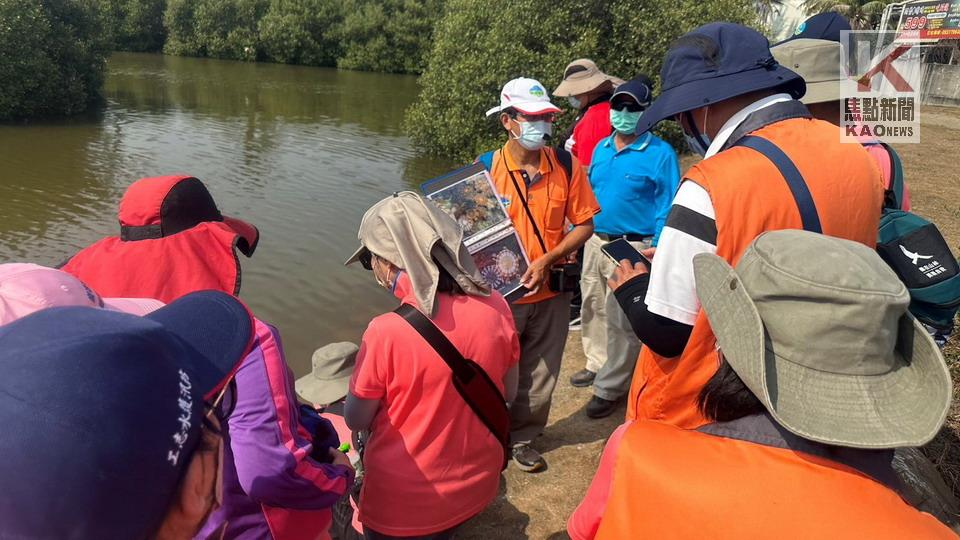 倒立水母的家　林園海洋濕地公園邀民眾來作客