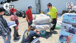 語音／高市廢棄漁網回收獎勵開跑