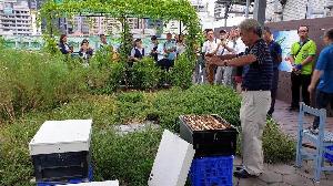 城市養蜂 蚓菜共生　綠屋頂講座壓軸登場