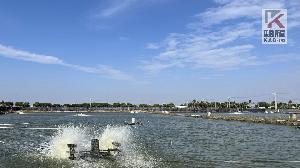 最強寒流來襲　高市府提醒養殖朋友隨時提高警覺