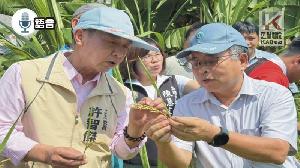 語音／稻穗空包農民心碎！　許智傑衝第一線　爭取一分地2000禮券補