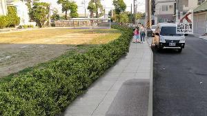 橋頭區仕隆國小拆除圍牆　營造社區化通學步道