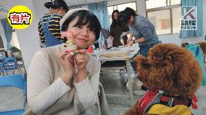 影／高市好伴bàn DIY課程　為毛孩創造最幸福的驚喜