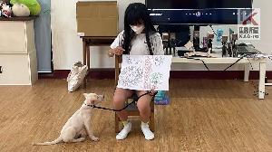 跨域結合動物保護與環境教育 　高市動保處讓愛與學習同行