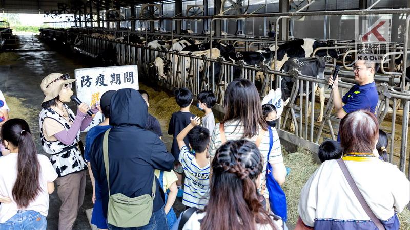 「高雄好牛」走進酪農牧場　實境體驗深受親子喜愛