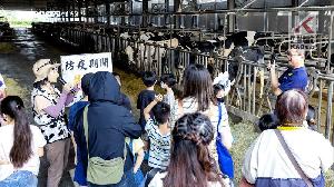 「高雄好牛」走進酪農牧場　實境體驗深受親子喜愛