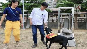「國際搜救犬日」　陳其邁慰勉消防局搜救犬隊