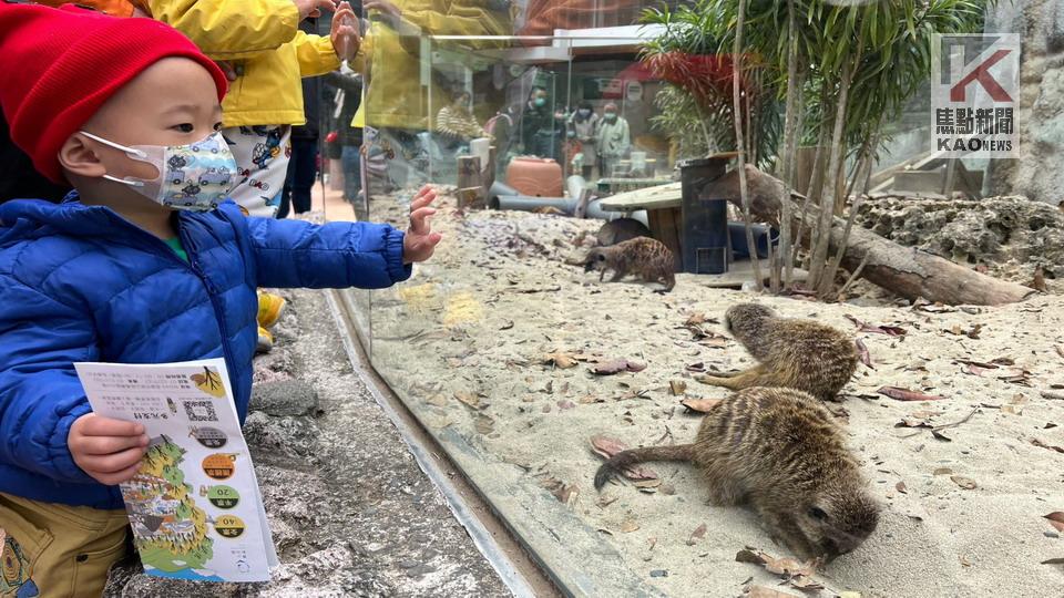 壽山動物園歡慶兒童節　4/1-4/5加碼發1000張免費門票