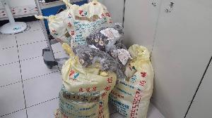 往返金門小三通旅客勿攜帶超量香菇入境　以免受罰 