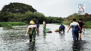 大樹舊鐵橋濕地榮獲2023環境生態保育之綠獎肯定