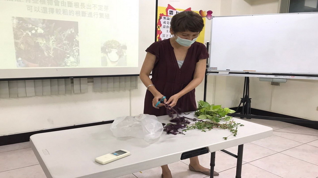 高市勞工大學楠梓開辦植物療癒課程