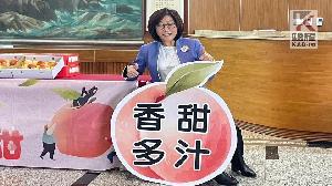 甜度破表　雄甜的水蜜桃 「桃」到高雄市議會