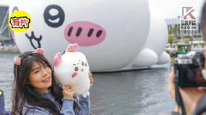 影／吉伊卡哇可愛出航高雄港　吉友們「吉合」愛河灣