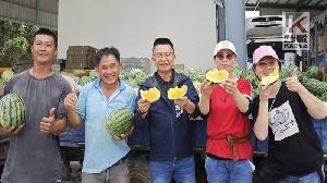 初夏吃瓜正對時　高雄瓜果豐收上市
