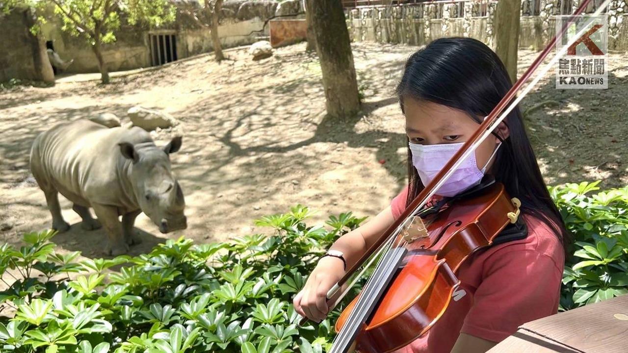 影／對牛彈琴？　小六女生讓壽山動物園聽見幸福！　