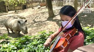 影／對牛彈琴？　小六女生讓壽山動物園聽見幸福！　