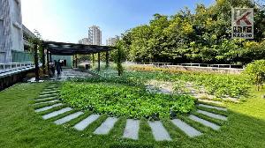 語音／高市立體綠化屋頂花園補助　開始受理申請