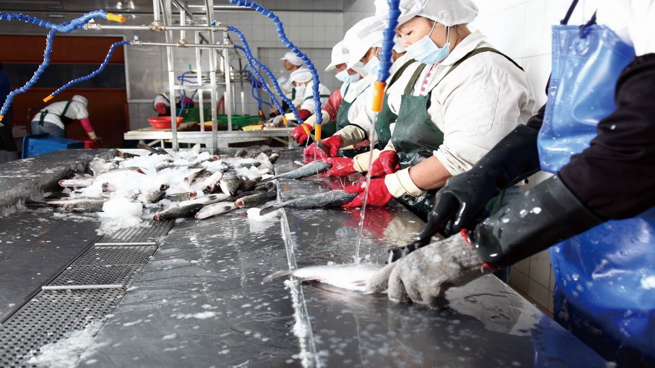 高市投入1.5億元建構倉儲　補助石斑魚養殖業者每公斤20元 