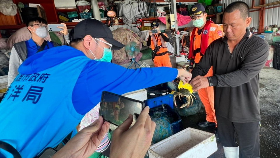 維護蟳蟹自然繁衍　高市府會同漁業署展開巡查宣導