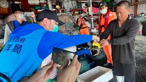 維護蟳蟹自然繁衍　高市府會同漁業署展開巡查宣導