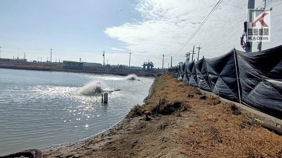 強烈大陸冷氣團來襲　高市府籲養殖業者提前做好防寒措施