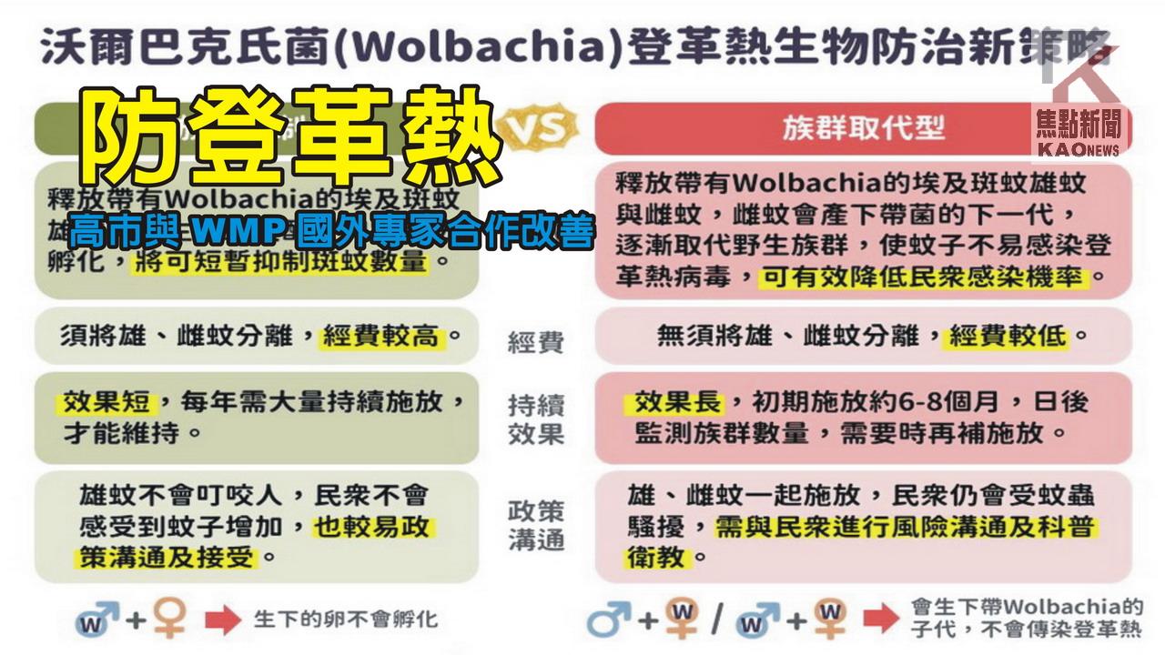 影／防登革熱　高市府持續研究及與WMP國外專家合作改善