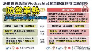 影／防登革熱　高市府持續研究及與WMP國外專家合作改善