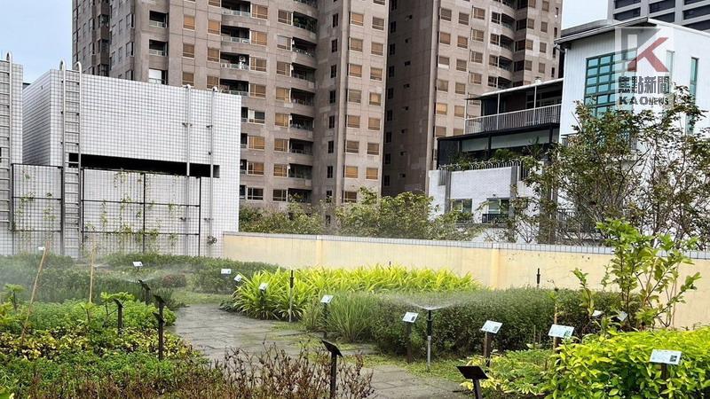 納淨零設施讓生活更綠藝　高市立體綠化補助開始開放受理