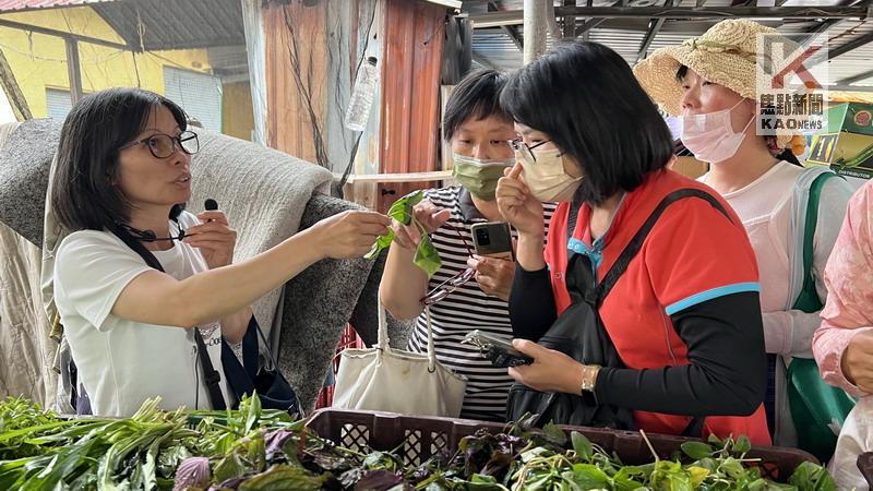 促進多元文化交流　高市府辦理越南文化走讀活動