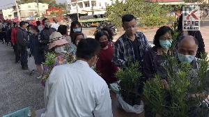 植樹節植樹趣！　高市區公所免費發送樹苗森活高雄