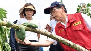 視察海葵颱風農災　林欽榮指示從速從寬從優查報農損