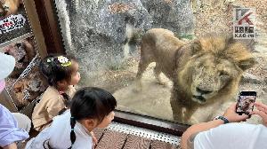 高市壽山動物園開園四個月　突破50萬人次